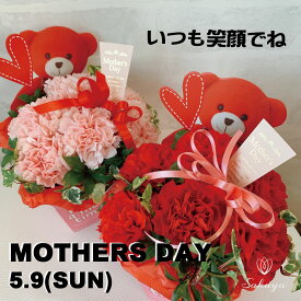 楽天市場 カーネーションの通販