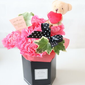 yN[|z hV̓ 1125 J[l[V v[g Mtg  AWg {bNX  ΂ ԃsN Iׂy  ˂  v[h t~S  L  