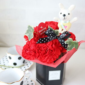 y_tf[N[|z hV̓ 1125 J[l[V v[g Mtg  AWg {bNX  ΂ ԃsN Iׂy  ˂  v[h t~S 