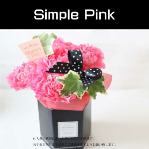 yIubNtCf[Iz  Mtg hV̓ J[l[V  AW v[g 1125 Mtg   Vv {bNX  ΂ Ί Iׂy 킢_ b