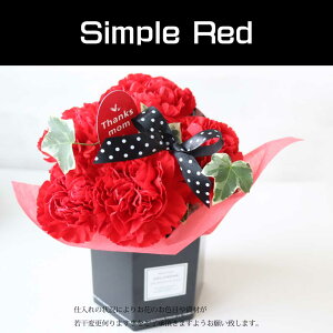 yI}\N[|Iz  Mtg hV̓ J[l[V  AW v[g 1125 Mtg   Vv {bNX  ΂ Ί Iׂy 킢_ bh 