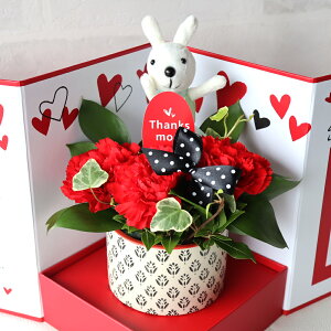 y}\N[|Iz hV̓ t[AWg 1125 J[l[V v[g Mtg   ΂ Ί 킢_ {bNX sN Iׂ铮 t~S 