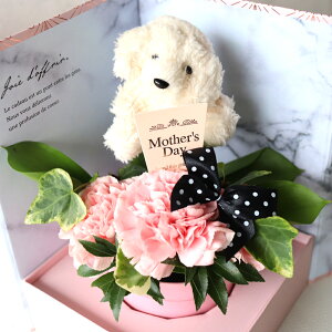 yN[|Iz hV̓ J[l[V  v[g 2025 AW Mtg   ΂ Ί Iׂy {bNX  sN Iׂ铮 ʂݕt  L ˂  