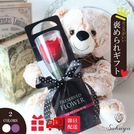 【マラソンクーポン】 プリザーブドフラワー くま ぬいぐるみ 入学式 式 お祝い 誕生日祝い 結婚祝い 結婚記念日 出産祝い 退職祝い 還暦祝い 開店祝い 赤 アニマル 敬老の日 ハロウィン バレンタイン ギフト プレゼント 花 贈り物 お花 送料無料 赤 レインボー