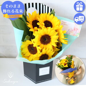 ynƋLO11%OFFN[|ILz ̓ Ђ܂  v[g Mtg ԑ Ђ܂ 肾  ԑ  ΂ Ί F Iׂy X^CbV ԕrȂĂ