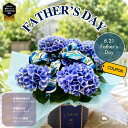 【☆優良ショップ受賞御礼クーポン×即日発送☆】紫陽花 父の日 ギフト 6月21日 誕生日 花 あじさい FATHERS DAY 2026 プレゼント 御祝 花 ギフト お父さん お母さん 母の日 おすすめ 鉢物 ブルー ピンク オシャレ 人気 おしゃれ 取り扱い説明書 栄養剤付き 送料無料