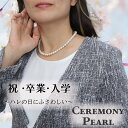 【入学御祝】 パール ネックレス 冠婚葬祭 入学 真珠 小粒 かわいい 入園 母の日式 入学式 結婚式 ウエディング パーティ セット フォーマル プレゼント ギフト 黒 おすすめ パーティー 貝パール 7mm42cm ホワイト シルバーブラック ケース付