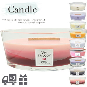 ΃Lh A}Lh WoodWick n[XEBbN EbhEBbN CujOot@CA l x_[ zCgeB[ WX~ t[ceve[VY EH[Eb