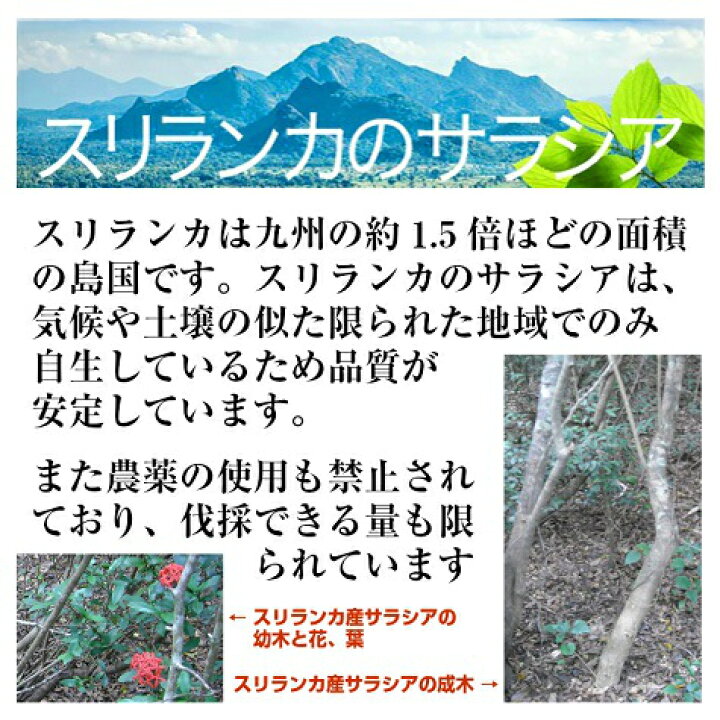 楽天市場 サラシア サプリ 驚きのリピート率 スリランカ産サラシア コタラヒム エキス 送料無料錠剤 サプリメント 250mｇ 180錠 2 360錠 90g 飲み易い小粒サラシアエキス 30mg 粒 配合下げるさらしあ効果粉末 糖の吸収を抑える ダイエット 国内加工花粉症 さらしあライフ