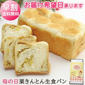 母の日 早割 パン ギフト 栗きんとん 生食パン 1斤 送料無料 常温 便 ちこり村 / ありがとう メッセージ入 ふるさと自慢の栗きんとん 7個分の栗が入って贅沢に！ × しっとり もちもち 生 食パン / 高級 パン 母の日ギフト お母さん プレゼント【5/5迄 キャンセル変更可】