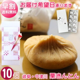 母の日 早割 花 スイーツ セット 送料無料 / 栗きんとん 10個 + ミニ カーネーション + メッセージ 掛け紙 / 母の日プレゼント ギフト 栗 和菓子 中津川 観光地応援 スイーツセット スイーツギフト 母 母親 義母 お母さん 母の日ギフト