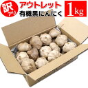黒にんにく ちこり村 有機 訳あり 1kg 箱 送料無料 アウトレット 国産ではなくオーガニックのスペイン産