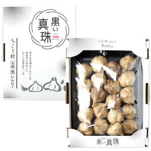 yV@zÂĔI 葺 ^ L@ ɂɂ / v`TCY  20 4 /  I[KjbN  jjN f ɂɂ K[bN L@͔| RHi 