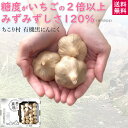【楽天1位】【新製法】甘くて美味しい！ ちこり村 黒い真珠 有機 黒にんにく / プチサイズ 小玉 20玉 4玉 / 国内製造 オーガニック 送料無料 黒ニンニク 黒大蒜 にんにく ガーリック 有機栽培 自然食品 楽天うまいもの大会 出品 NL /