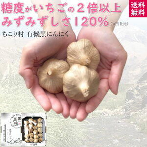 yV@zÂĔIhV̓ Mtg 葺 ^ L@ ɂɂ / v`TCY  20 4 /  I[KjbN  jjN f ɂɂ K[bN L@