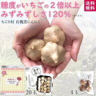 【新製法】甘くて美味しい！お歳暮 ギフト ちこり村 黒い真珠 有機 黒にんにく / プチサイズ 小玉 20玉 4…