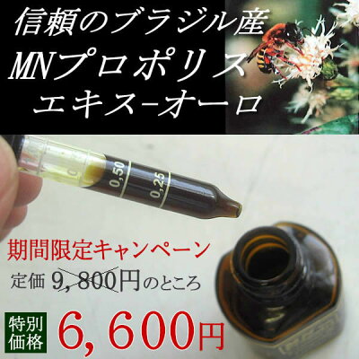ちこり村おすすめブラジルでつくった健康食品PROPOLIS(プロポリス)6600円