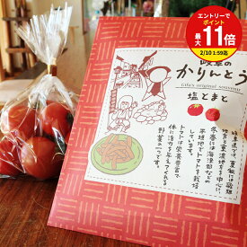 【お買い物マラソン限定！エントリーで最大P11倍】岐阜のかりんとう　塩とまと