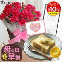 【高評価★4.78】 母の日ギフト 超 早割 2026 カーネーション 5号鉢 + 栗きんとん 生食パン 1斤 中津川 送料無料 常温 早割 / 農水大臣賞受賞のますだ農園 カーネーション と ちこり村 で人気の 高級 生食 パン プレゼント 【グランプリ受賞商品】