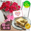 ＼ 母の日ギフト／【高評価★4.78】 カーネーション 5号鉢 + 栗きんとん 生食パン 1斤 中津川 送料無料 常温 / 農水大臣賞受賞のますだ農園 カーネーション と ちこり村 で人気の 高級 生食 パン プレゼント 2026 花【グランプリ受賞商品】
