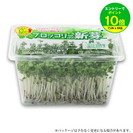 【エントリーでポイント10倍】ブロッコリースプラウト ブロッコリーの新芽 12パック入 発芽野菜 で栄養補…