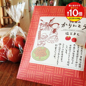 【買いまわりで最大P10倍！※要エントリー】 岐阜のかりんとう　塩とまと