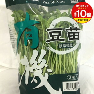 y܂ōőP10{IvGg[zc L@ I[KjbN 6pbN / Ƃ݂傤 ǂ̐V XvEg  X[p[t[h