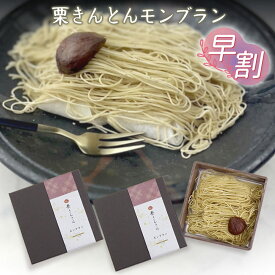 母の日 早割 特別な贈り物 ギフト 栗きんとん モンブラン 2箱 冷凍便 ちこり村 / ふるさと自慢の 栗きんとん発祥の地 甘さ控えめ 上品 優しい味 和栗/ 高級 ギフト スイーツ プレゼント 自分へのご褒美 プチギフト 誕生日 記念日 贈答 お取り寄せグルメ /