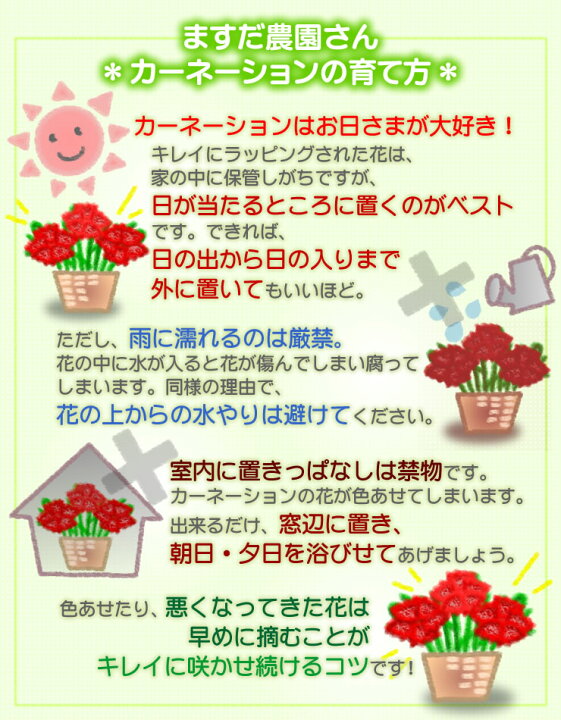 楽天市場 母の日ギフト 選べるサプライズセット 豪華 カーネーション 5号鉢 花 ３商品から選べるセット メッセージカード 付 日付指定可 送料無料 母の日 栗きんとん かりんとう 焼酎 岐阜 中津川 ちこり村