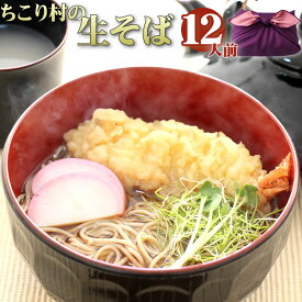 生そば ギフト プレゼント 生そば 送料無料 / 信州そば 12人前 ちこり村 贈答に好適な風呂敷包み つゆ 本格 そば湯 用そば粉 付き / 帰歳暮 帰省暮 お祝い 内祝 誕生日 お返し 蕎麦 ソバ