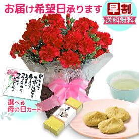 楽天市場 母の日ギフト 花 観葉植物 花 ガーデン Diy の通販