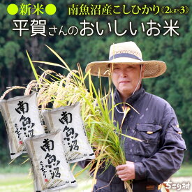 【買いまわりで最大P10倍！※要エントリー】令和7年 新米 南魚沼産コシヒカリ 新潟 魚沼産 コシヒカリ 米 2kg 6kg / 顔のみえるお米 単一原料 美味しいお米で定評の農家 平賀さんが丹精込めてつくったお米