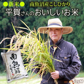 令和8年 新米 南魚沼産コシヒカリ 新潟 魚沼産 コシヒカリ 米 2kg 6kg / 顔のみえるお米 単一原料 美味しいお米で定評の農家 平賀さんが丹精込めてつくったお米