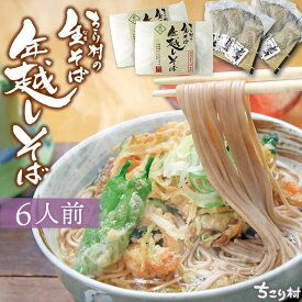 年越しそば 6人前 ちこり村 本場 信州 生そば 送料無料 つゆ付 セット 【12月20日〜27日にお届け】 / 信州そば 年越蕎麦 年越そば ざるそば 藪そば かけそば 年越 年越し としこし 年末 帰省暮 2026年 本格 そば湯 用 そば粉付