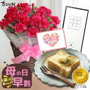 【高評価★4.78】 母の日ギフト 早割 2026 花 カーネーション 5号鉢 + 栗きんとん 生食パン 1斤 中津川 送料無料 常温 / 農水大臣賞受賞のますだ農園 カーネーション と ちこり村 で人気の 高級 生食 パン プレゼント 【グランプリ受賞商品】