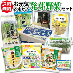 yCłHz VN XvEg  MtgZbg  / ubR[XvEg ₵ c 哤₵   L@ Jbg S؂̐V | ȂǑS8