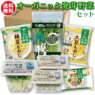 オーガニック 発芽 野菜セット / 有機 ブロッコリー スプラウト 2 /有機 大豆もやし 有機 緑豆もやし 有…