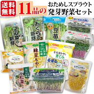 発芽 野菜セット スプラウト お試し 11品 機能性表示食品 子大豆もやし 豆苗 ブロッコリー 新芽 もやしレ…