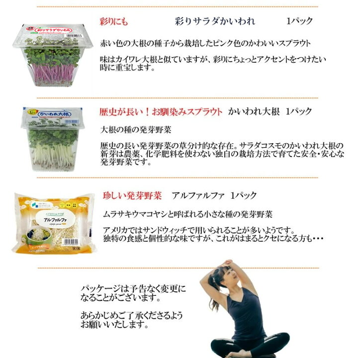 83円 流行に 国産 無農薬 サラダコスモ 豆苗 1パック 83円 流行に 国産 無農薬 サラダコスモ 豆苗 1パック