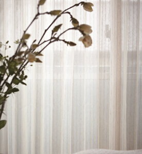 JtFJ[eyWAVESALADz EF[uT_ [X@[XJ[e J[e  킢@{ J[e@JtFJ[e@XgCv@ rO @􂦂@EH