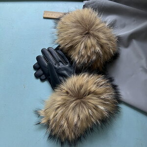 U[ tHbNXt@[ t@[O[u ubN uE fB[X g ӂӂ є  i l IV p[eB[Mtg v[g