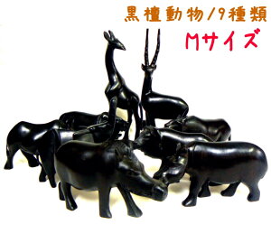 hMTCY GXjbN AtJ u CeA G h   nhCh