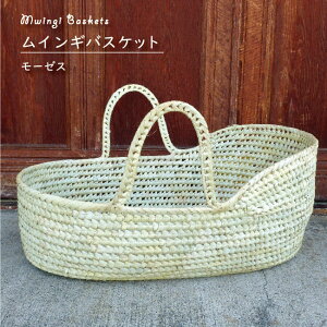 CM[[XoXPbg CeAoXPbg Ԃ ybg xr[ xbh AtJ G obO [  i` Vv GXjbN