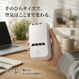 【14％OFFクーポン配布中！】日本製 オゾン脱臭機 オゾン発生器 快適マイエアー USB給電 壁掛け 小型 フィルターレス ペット トイレ 加齢臭 部屋干し 生乾き臭 玄関 靴箱 フィルター交換不要