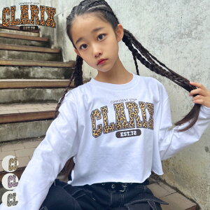 �y���[����14�z�y ���I�p�[�h ���S �V���[�g�� T / 3�T�C�Y�E3�J���[ �z �Z�[�����[�� �L�b�Y ����T �؍� �_���X ���K�� �X�g���[�g�n �L�b�Y �W���j�A ���� �ւ��o�� T�V���c �V���[�g�� t�V��