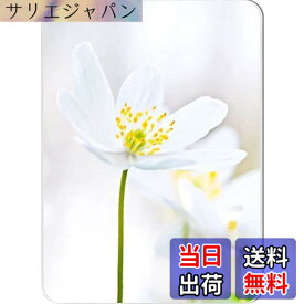 【送料無料】[VIEAURA] ロッカー 鏡 磁石 マグネット マグネットミラー 更衣室 会社 職場ロッカー シルバー （14.7cmx10.6cm）