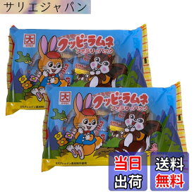 【送料無料】カクダイ製菓 クッピーラムネ ファミリーパック4gx25袋 2個セット