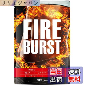�y���������z�yFIRE BURST�z L-�J���j�`�� BCAA�z�� �T�v�� ���I�f�� 90����