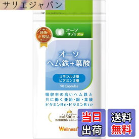 【送料無料】オーソサプリ オーソヘム鉄＋葉酸 90粒 乳酸菌ミネラル配合 亜鉛 栄養療法 医療機関 日本製 妊活
