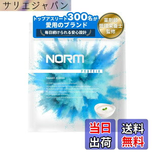 �y���������zNORM �m�[�� �z�G�C �v���e�C�� �l�H�Ö����s�g�p ���[�O���g 1kg 300���ȏ�̃g�b�v�A�X���[�g���p WPC WHEY PROTEIN �z�G�C�v���e�C�� ��������